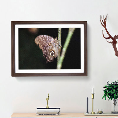 Beauty Of A Butterfly - Single Picture Frame Painting