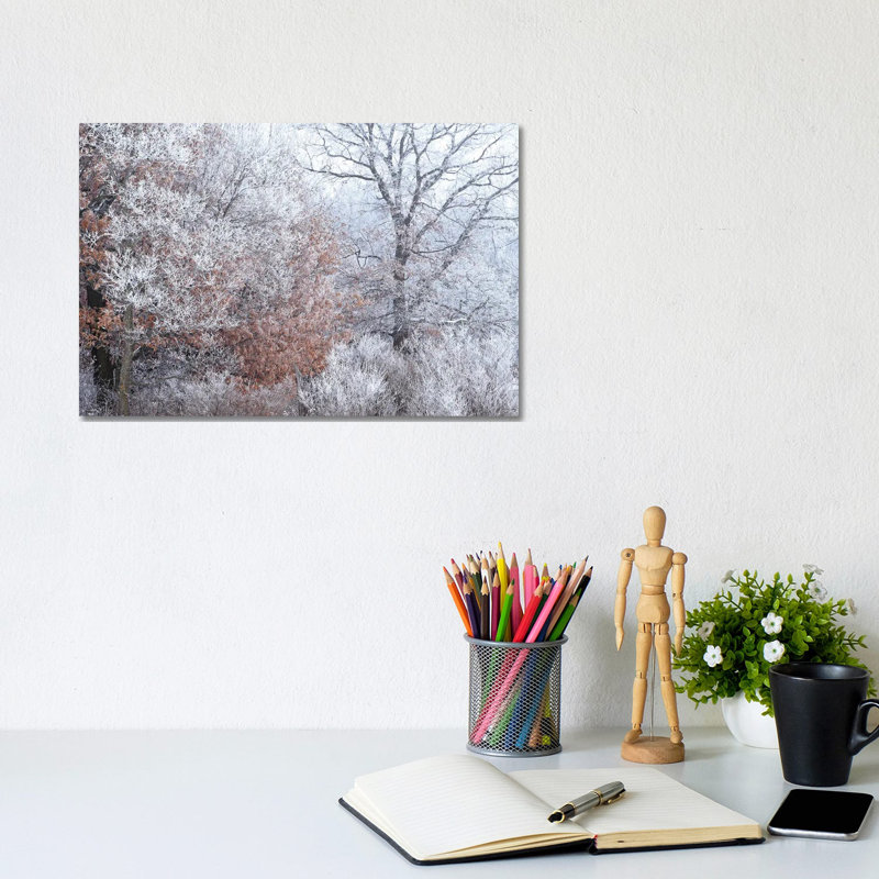 Rime Ice And Fog by Brian Wolf - Wrapped Canvas Print, 20.32cm H x 30.48cm W x 1.91cm D