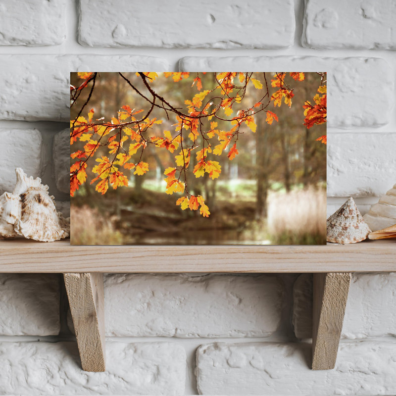 Golden OakAas Whispers by Christina Sillen - Wrapped Canvas Print, 45.72 cm H x 30.48 cm W