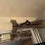 Customer photo 2 of 2