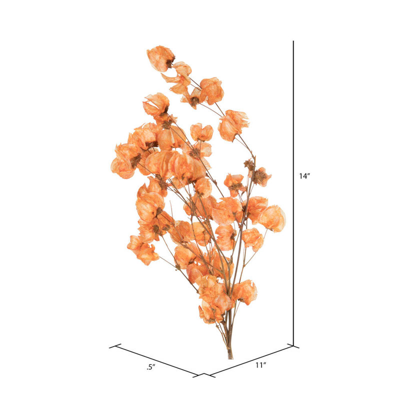 Preserved Cara Blossom Arrangement, Orange