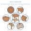 Ensemble de conversation 3 pièces avec coussins Byxbee-804566584-804566597