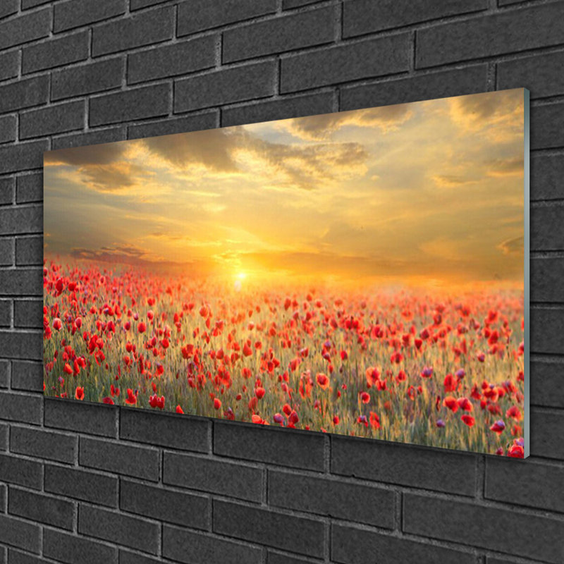 Nature Sun Meadow Poppy Flowers 1 Piece Wall Art on Glass