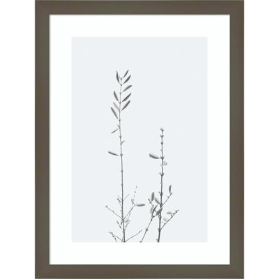 Retro Tennessee Botanical No 2 Photo Print
