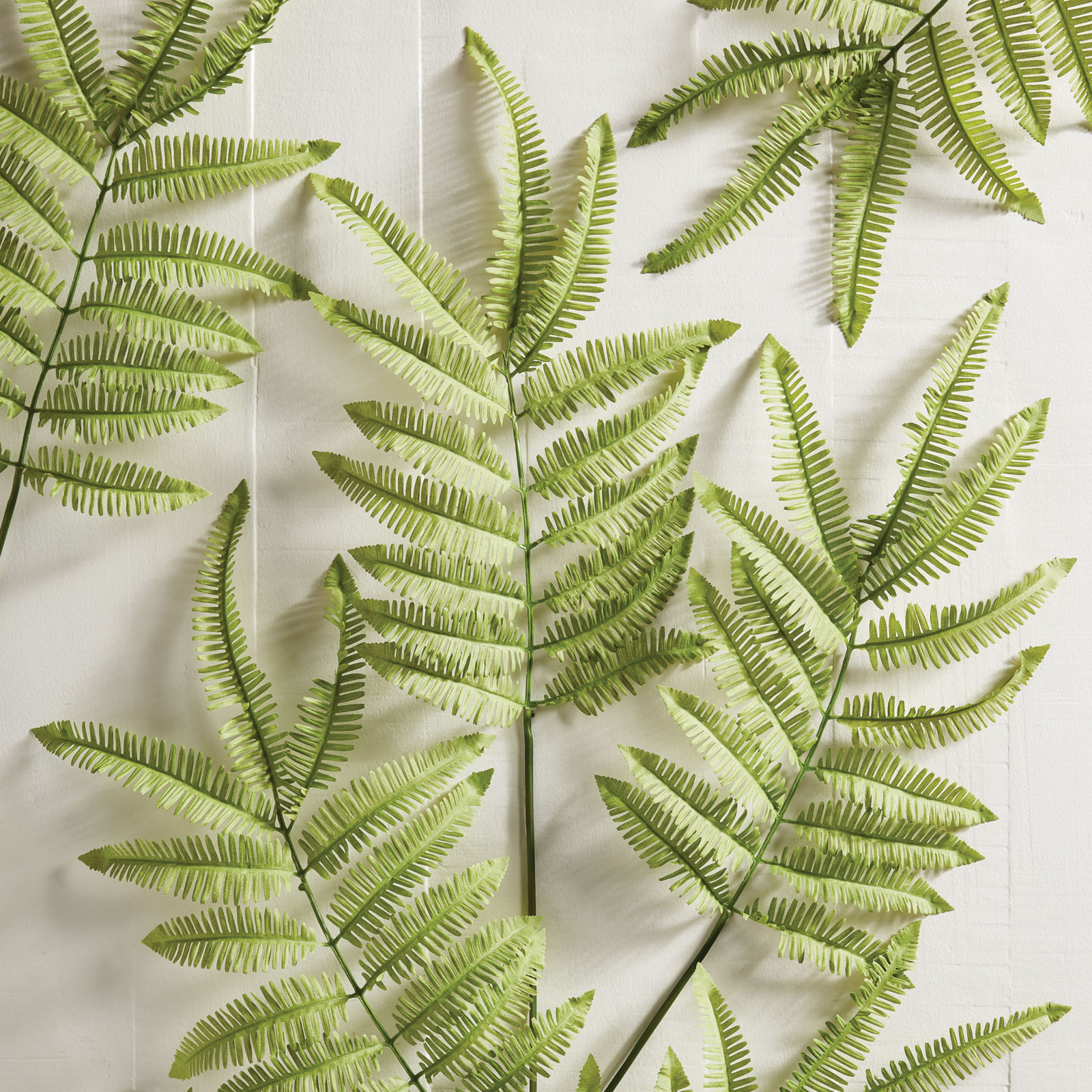 Tree Fern Floral Stems