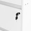 38 cm W 4 -Drawer - Drawer Mobile Filing Cabinet