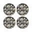 Leopard Walk Pebble 16" Vinyl Placemat-50817759