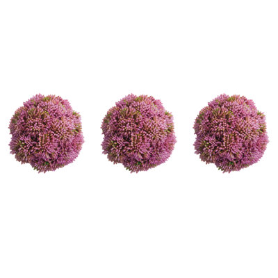 Decorative Sedum Balls