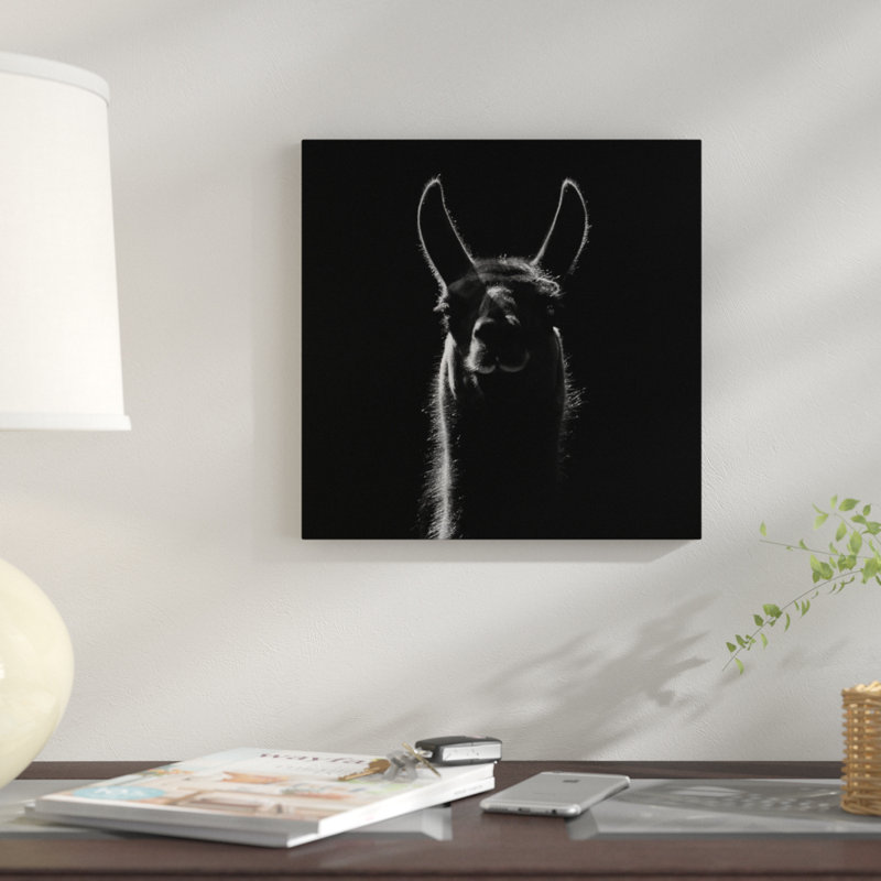 « llama », impression sur toile, H 12 po x l 12 po x P 1,5 po, Toile tendue, Pas de tapis