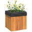 Ajwaa Planter Box-644504579