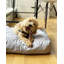 Orthopedic Pet Bed-163507269-163507264