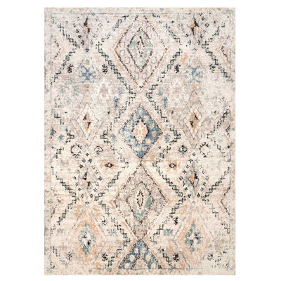 Johnston Southwestern Area Rug