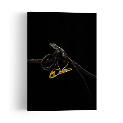 Lizard Mantis Standoff Contemporary Lizard Nature Wildlife Wall Art Print 1 Piece Wrapped Canvas Wall Art
