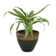 Caydin Round Ceramic Outdoor Planter