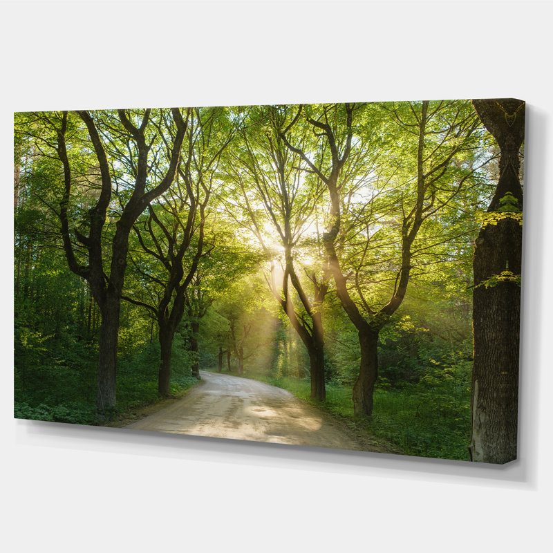 «Evening in Green Forest», art mural sur toile, H 28 po x l 60 po, Toile tendue