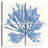 Brampt Pacific Sea Mosses II Light Blue-109113272