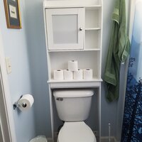 Three Posts™ Pinecrest Freestanding Over-the-Toilet Storage