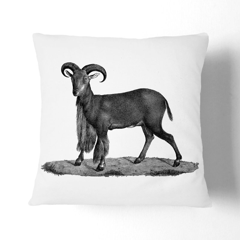 Square Throw Cushion, 40cm H x 40cm W x 15cm D, White