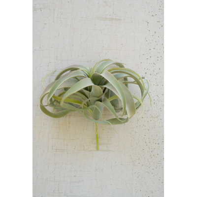  Extra Large Tillandsia Plant 10.5" H – Gray Faux Air Plant for Whimsical Greenery & Succulent Displays (Set of 6)