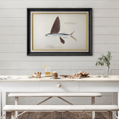 Œuvre nautique rétro de poisson volant, photos de salon côtier, impression sur toile encadrée.