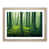 Oak Frame