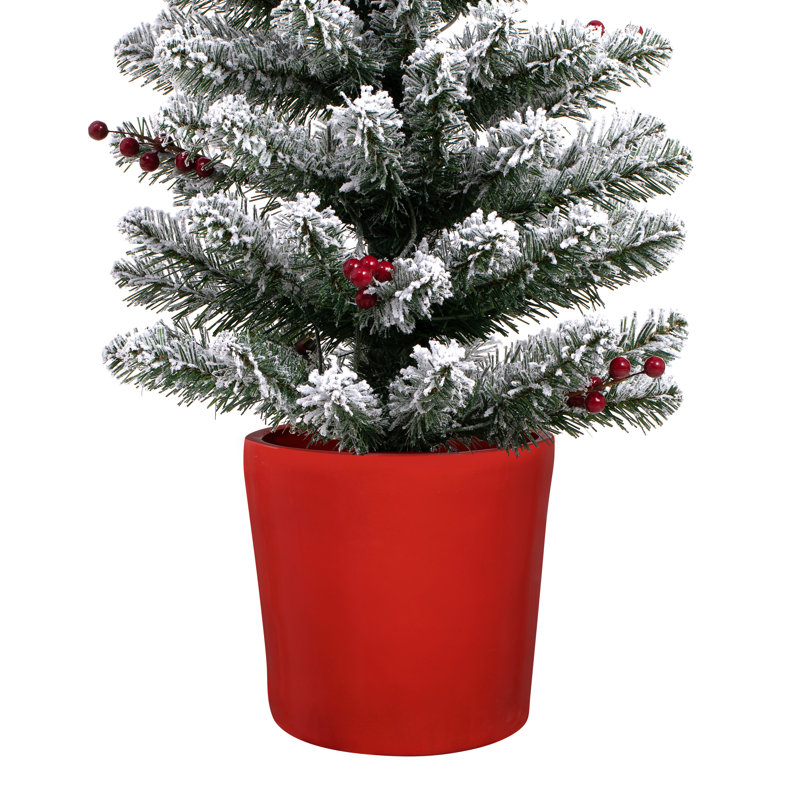 Sapin blanc illuminé 5 pi