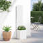 Planter Box-1488581409-1488581411