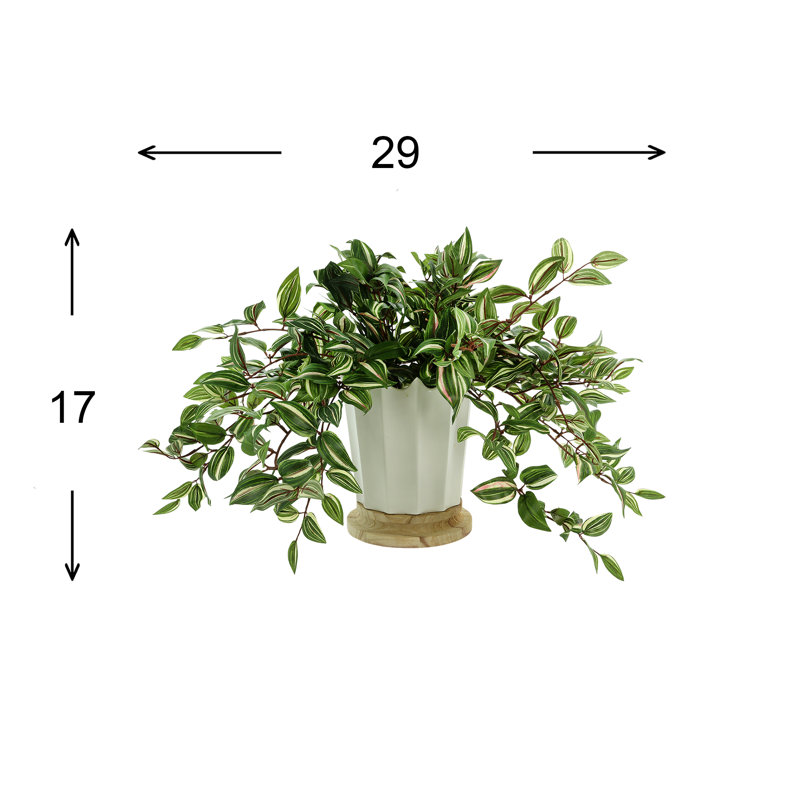 Nugent Faux Tradescantia Plant in Ceramic Vase