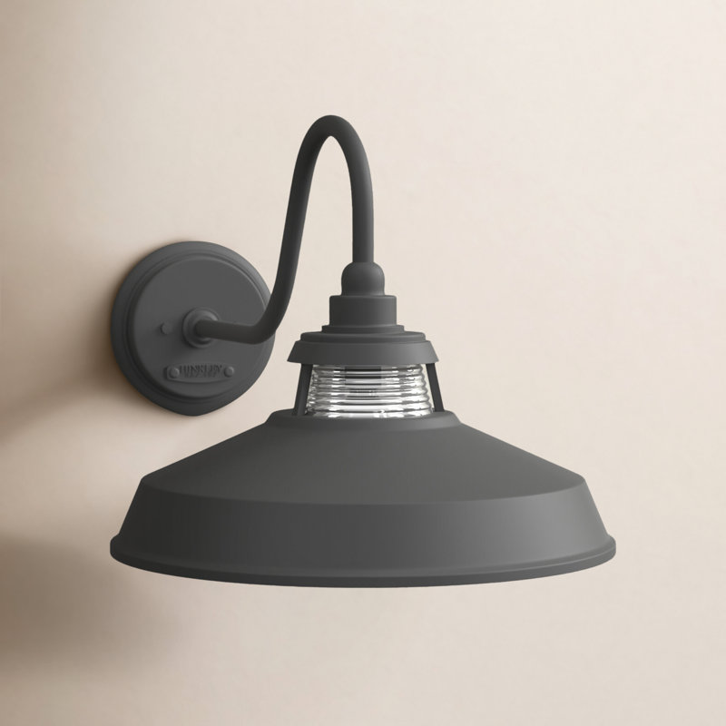 Luminaire de grange d'extérieur Calum, Noir, H 10 po x l 10 po x P 10 po