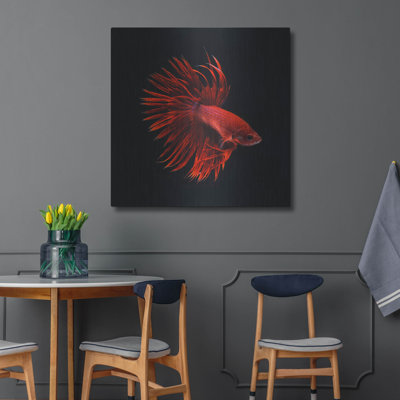 Beachcrest Home™ 'Red Betta Fish' by Photoinc Studio, Metal Wall Art