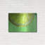 «Lemon Slice» par Dana Brett Munach-101624587