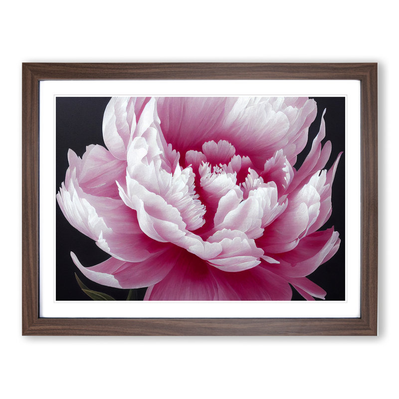 Splendid Peony Flower - Framed Print, 46cm H x 64cm W x 2cm D, Walnut