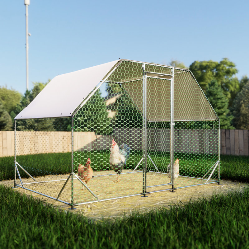 Spacieux poulailler en métal avec couvercle pour protéger les animaux de compagnie des effets du soleil et des intempéries