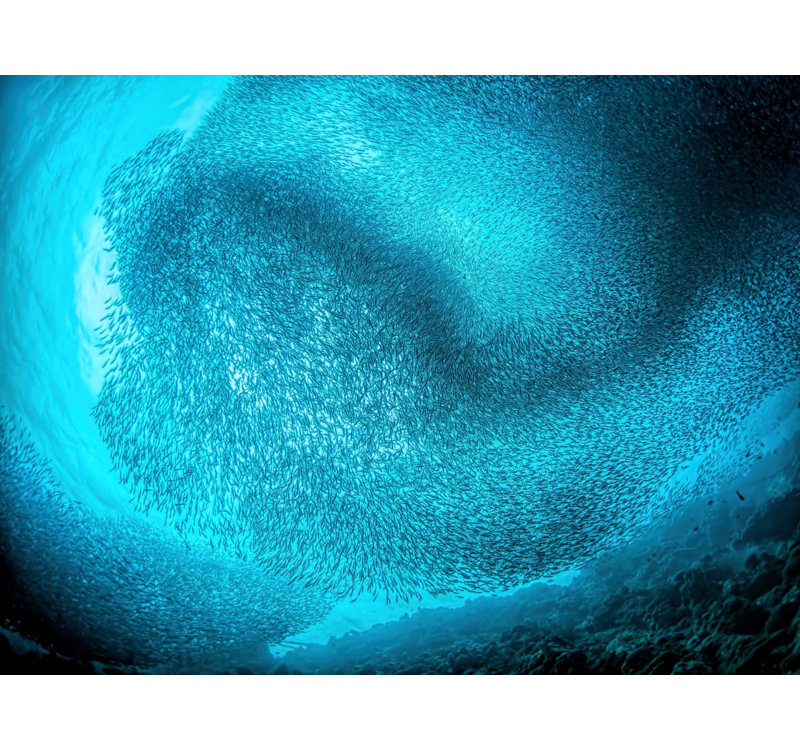 Wrapped Canvas Print, 81.28 cm H x 121.92 cm W