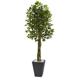 6.5ft. Ficus Artificial Tree with Slate Planter, UV Resistant (Indoor/Outdoor)