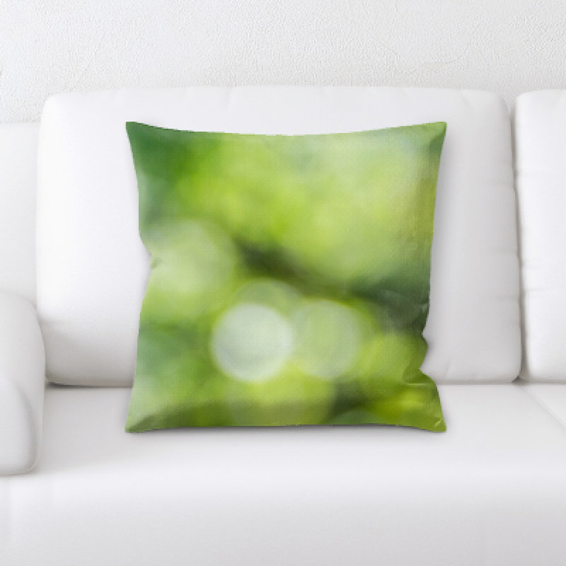 Coussin décoratif flou