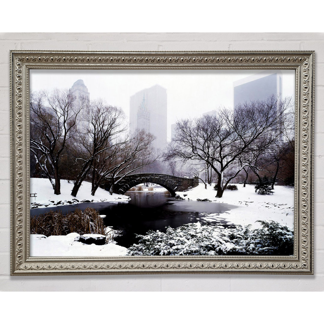 Central Park im Winter - Druck