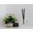 Plant / Floral Reed Diffusers And Sticks
