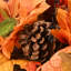 Sunflowers Haning Basket in Basket