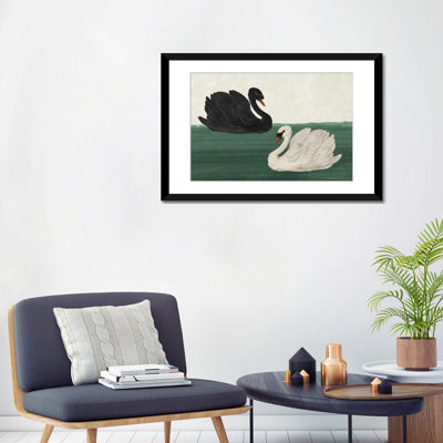 Black Swan White Swan_1PFA