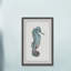 Pastel Seahorse by Marmont Hill - Single Picture Frame Painting-1725457954-1725457956