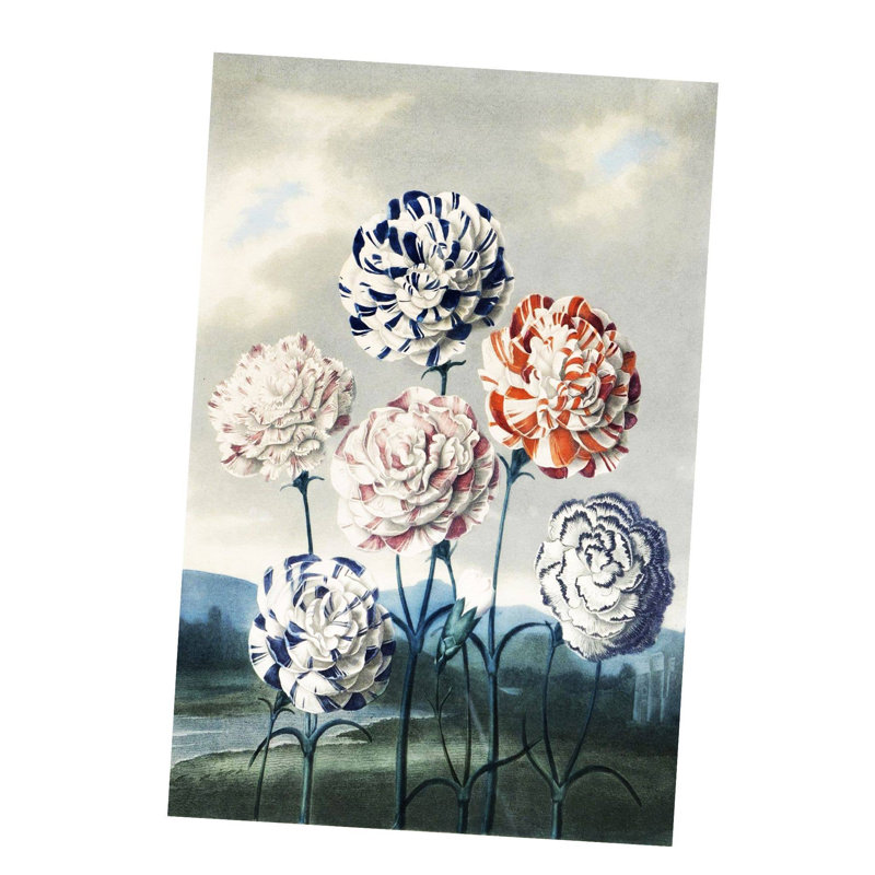 4301 No Frame Print on Metal, 25cm H x 20cm W