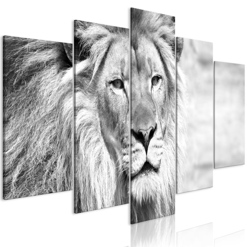 No Frame Print on Canvas, 50cm H x 100cm W