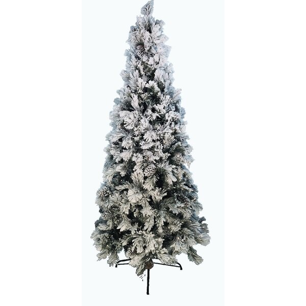 O Tannenbaum Artificial Pine Christmas Tree with Lights | Perigold