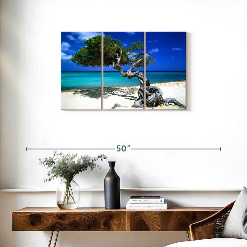 Divi Divi arbre Aruba Petites Antilles, H 20 po x l 33 po