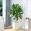 120cm Tree