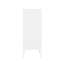 Armoire d'appoint moderne en acier de 32 po avec 3 tablettes réglables Naomi-1777674640