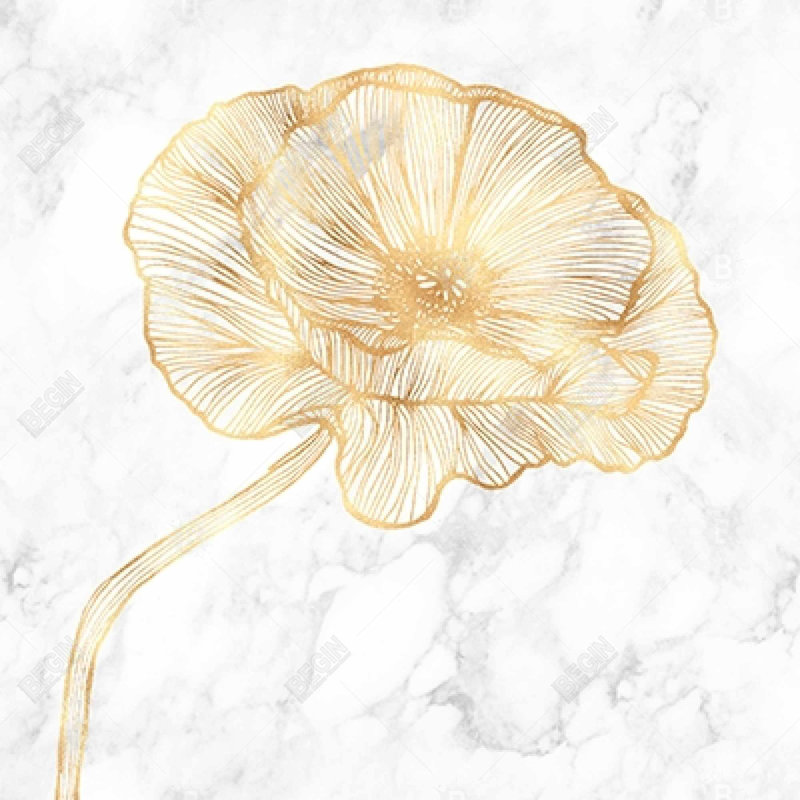 " Golden Poppy Flower "