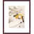 Gris / blanc / jaune n'est pas disponible