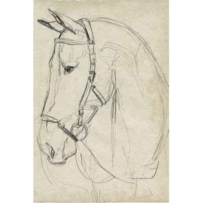 Cheval en croquis II